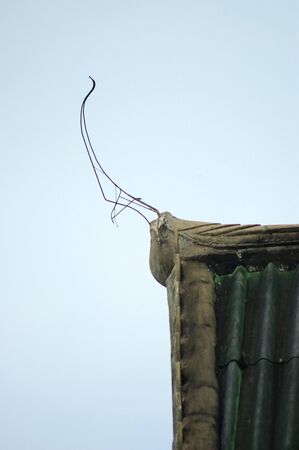 gable apex on the old abbeyの写真素材
