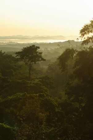 Morning View of Soi-Dao, Chanthaburiの写真素材
