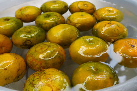 Wash the orange in waterの写真素材