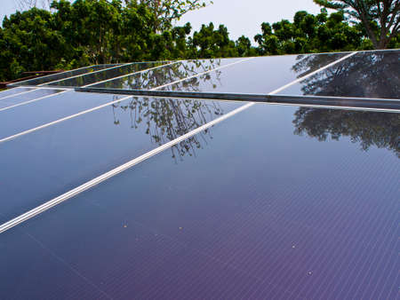 Reflection of tree on Solar Panel in Garden