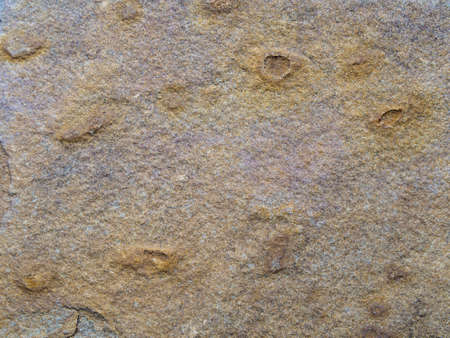 Stone texture of a Slab placed on the walkway