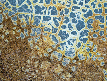 Cracks on the surface of polished concrete