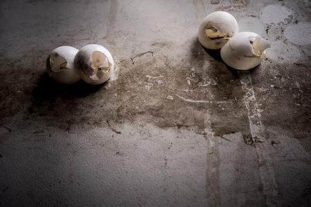 shell of gecko eggs stick on the wallの写真素材