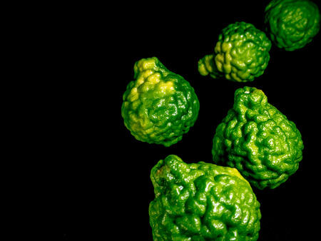 freshness Bergamot Peel shiny green on black backgroundの写真素材