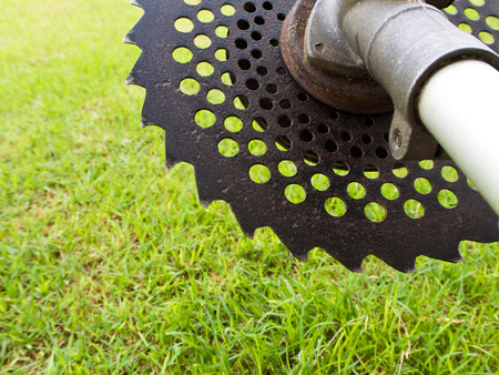 Circular saw blade for cut gnarled bushes and thin tree trunks