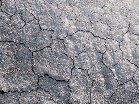 Cracked and separated on dried soilの写真素材