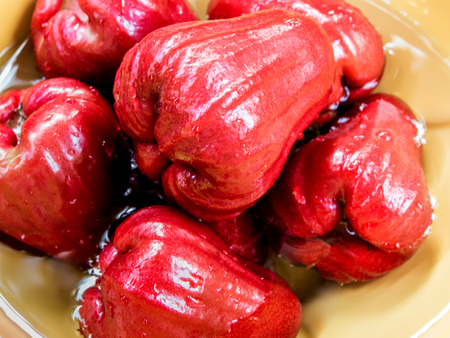 Wash the Rose apple in waterの写真素材