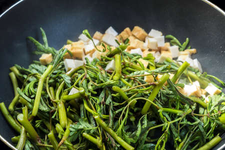 Water minosa and tofu cubes cooking in panの写真素材