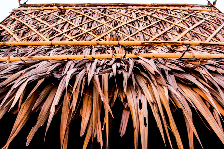 Roofs made from the blade of grassの写真素材