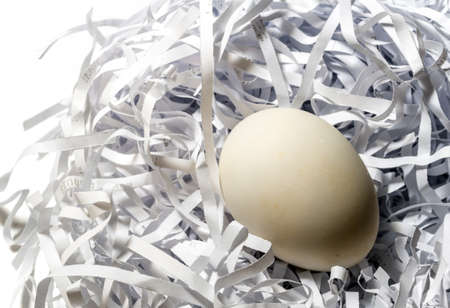 Egg on the straw paper in white background, raw food packageの写真素材