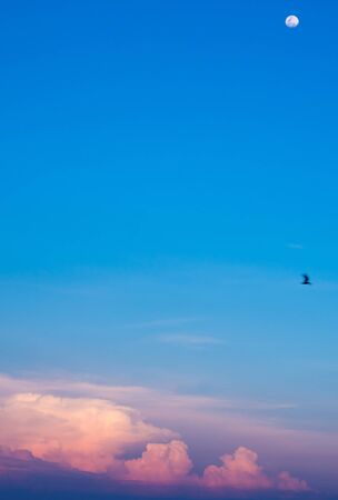 Pink clouds and moon in sunset sky over seaの写真素材