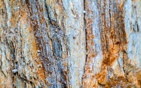 Texture of stone surface at the rocky mountain