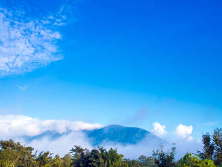 Cloudy floating above the treetops in the jungle and mountainsの写真素材