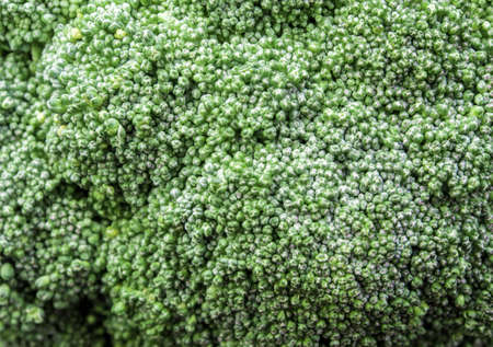 Close up to surface texture of freshness Broccoli vegetableの写真素材