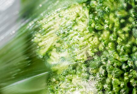 Fresh protected for Broccoli vegetable by plastic film wrapの写真素材