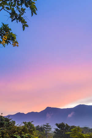 Vivid color of Sky and Clouds drifting over the forest mountain in evening timeの写真素材
