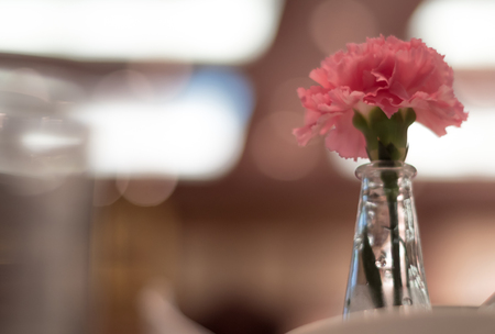 Pink carnation adorned in thin glass vases placed on a dining tableの写真素材