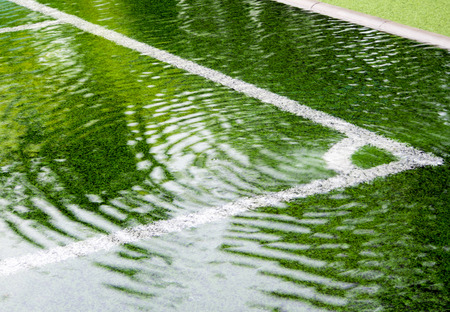 The fronds, pinnately compound leaves of Cycas revoluta Thunb plantの写真素材