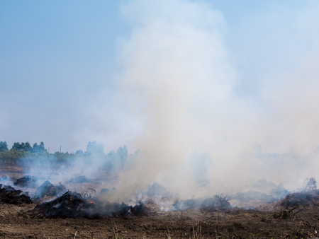 Dense dust and smoke from burning stubble in agricultural areas along the road after harvestの写真素材