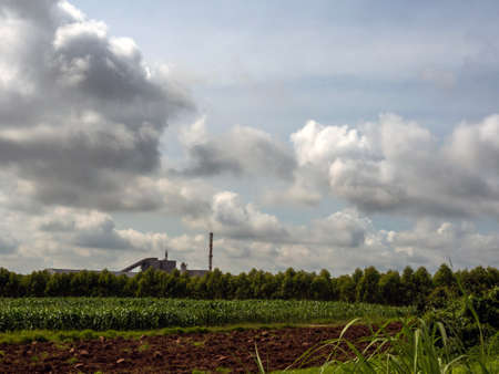 Industrial plant among agricultural areas Soil preparation for corn and eucalyptus fieldsの写真素材