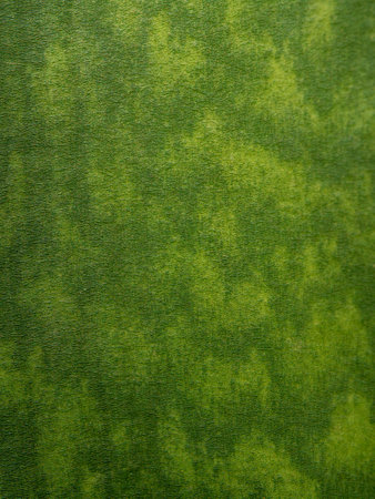 Agave succulent plant, close up texture on freshness leaves full-frame of Agave leafの写真素材