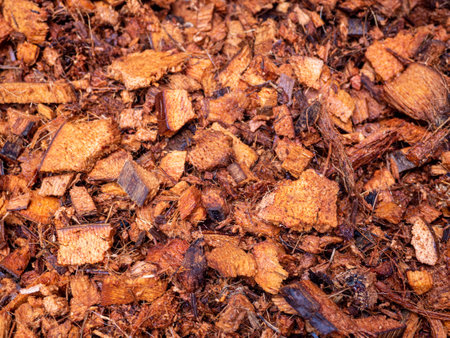 Chopped coconut husks for use as planting material