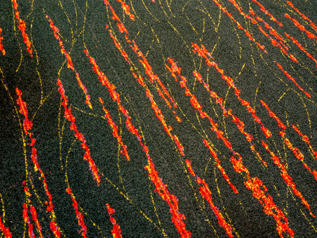 The red pattern looked like a flame on the floor carpetの写真素材