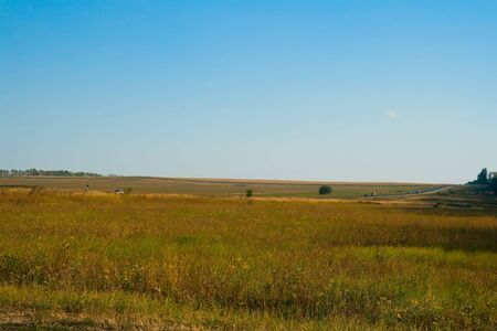 autumn field under the blue sky