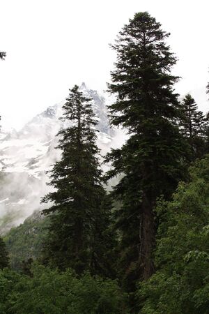 mountains landscape