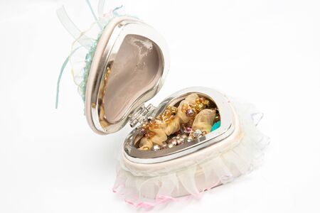 old case for jewelryの写真素材