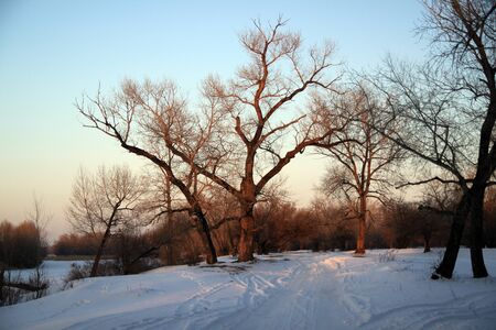 Winterの写真素材