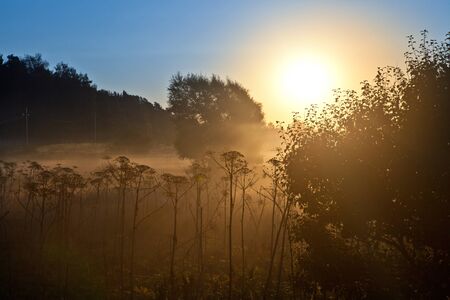 Sunriseの写真素材