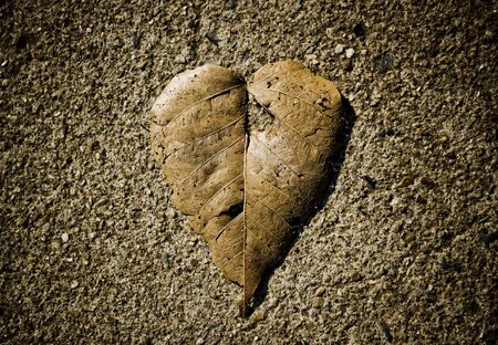 Abstract Heartの写真素材