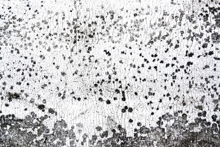 Abstract Monochromeの写真素材