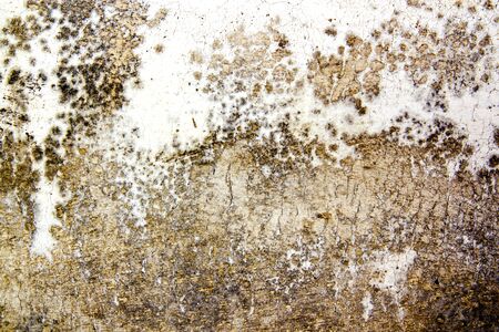 Texture01の写真素材