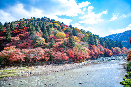 Autumn in Korankei momiji, Japan.の写真素材