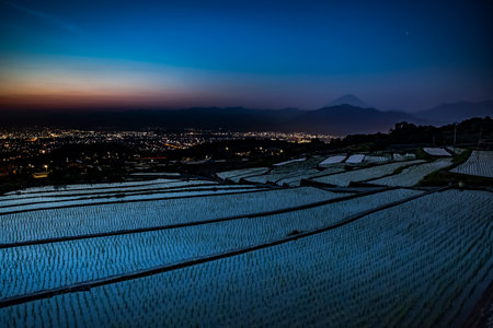 Rice plantation in Minami Alps, Japan.の写真素材