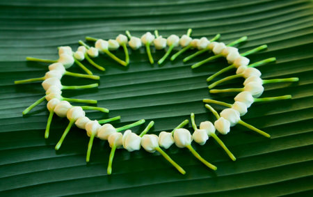 fresh white jasmine on green banana leaf