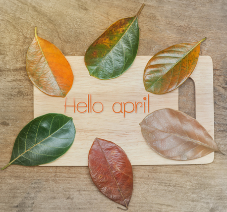Flat lay of Hello april on orange text over gradient leaves different stage autumn senescence foliage backgroundの写真素材