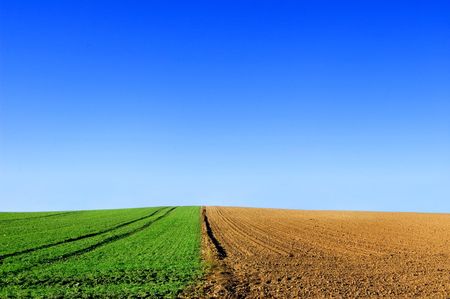 Green and plowed field conceptual image. Picture of green  and plowed field in summer.の写真素材