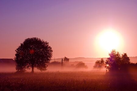 Sunrise. Picture of sunrise in summer rural.の写真素材