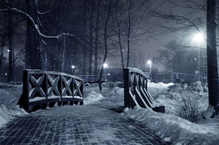 Winter park at night. Frosty winter in dark park.の写真素材