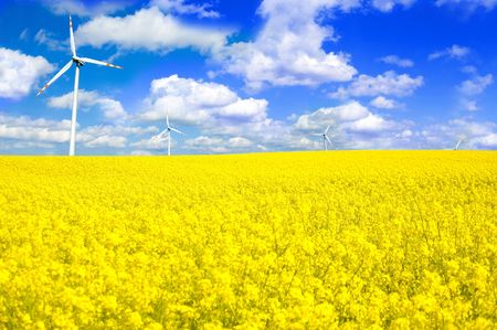Windmills conceptual image. Windmill on yellow field in summer.の写真素材