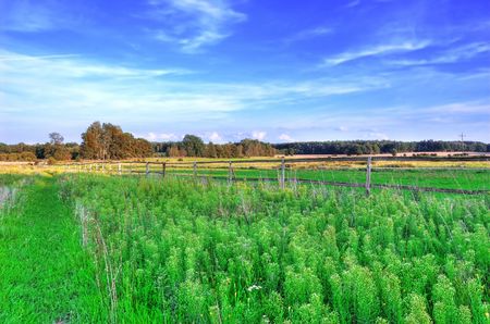 Rural landscape. Meadows and sky. HDR picture.の写真素材