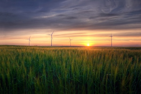 Rural landscape. HDR picture of sundown over the green field at summer.の写真素材