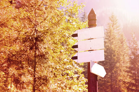 Free copy space empty arrow sings in the forest. Autumn.の写真素材