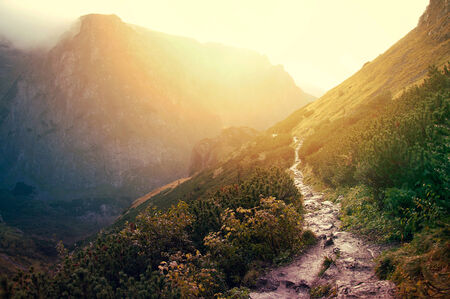 Path in beautiful mountains at sundown. Nature conceptual image.の写真素材