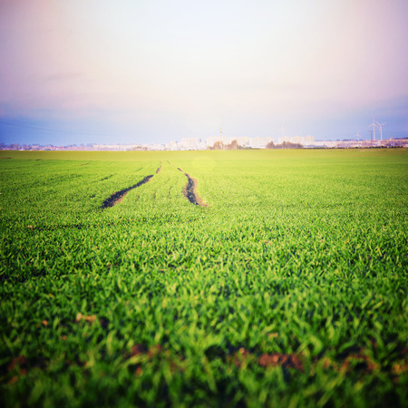 Green field with fresh grass and agglomeration in the distance.の写真素材