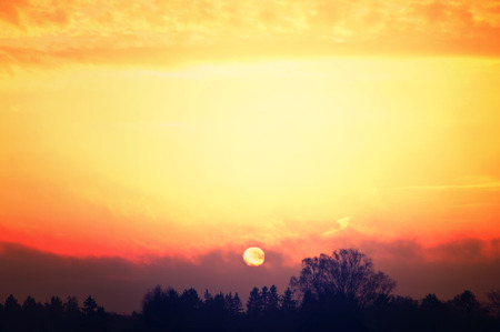 Sunrise over trees. Nature conceptual image.の写真素材