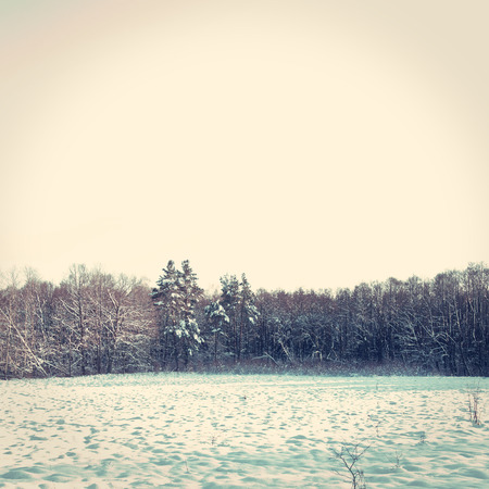 Winter conceptual image. Winter in the forest. Vintage instagram minimalist picture.の写真素材
